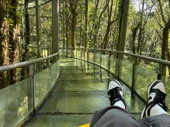 -富春桃源风景区