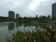 -南翔镇银翔湖公园