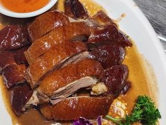 -港升鱼师傅·中山脆肉鲩