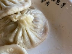 -老庞家水馅包子馆