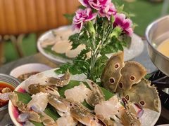 -禄婶鸡煲·打边炉