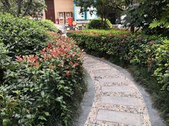 -小杨烤肉(朱雀店)