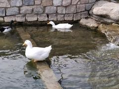 -三里河公园