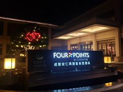 -成都安仁福朋喜来登酒店