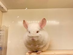 -龙猫仔乐园(惠福东路店)