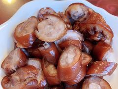 -龙小海荆沙鸽子店(瑞安街店)