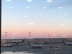 -谢列梅捷沃国际机场