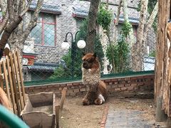 -大明幻境第一城