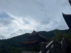 -深圳仙湖植物园