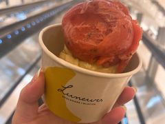 -LUNEURS月乐诗·法式冰淇淋(环贸店)