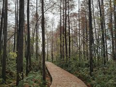-东湖落雁景区