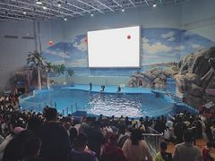 -福州罗源湾海洋世界旅游区