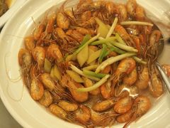 -中国饭店-餐厅