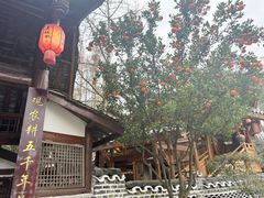 -青城甲(青城山店)