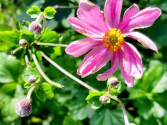 -国家植物园南园