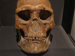 -北京周口店北京人遗址博物馆