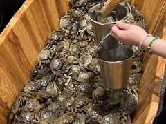 -初色海鲜自助(万丰路店)
