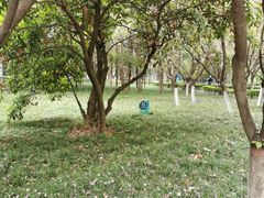 -西安市长乐公园