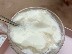 豆腐花加糖-五福堂龟苓膏(河东北山店)