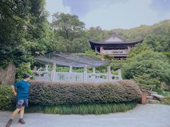 -十八棵（老龙井）御茶园(老龙井店)