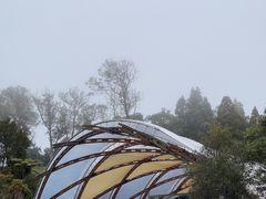 -怀托摩萤火虫洞