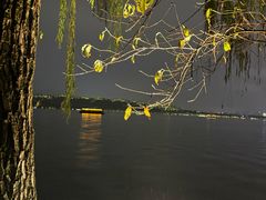 -柳莺湖上·湖景餐厅·江南菜(西湖店)