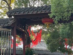 -八大山人梅湖景区