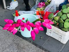 -宽板凳老灶火锅(南礼士路店)