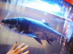 门面-解家河南菜(商鼎路店)