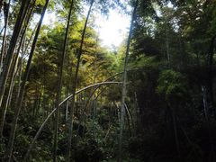 -梅岭神龙潭