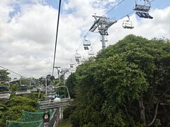 -圣淘沙天际线斜坡滑车