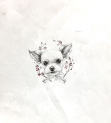 -MDZ STORE·TATTOO·耳饰
