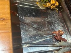 -炭窑水浒烤肉(汉阳鹦鹉巷子店)