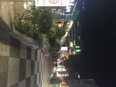 宝健路-宝健路步行街(Pedestrian Shopping Street)
