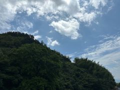 -东天目山风景区