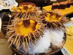 空运活海胆-天狗山料理(省体店)