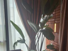 -泰合玺·精油疗愈SPA(狮山天街生活广场店)