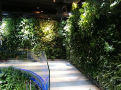 -肉串汪(望京店)