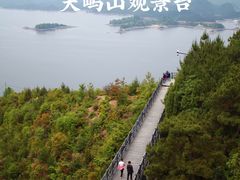 -龙川湾千岛湖国际垂钓中心