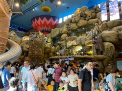 -卡通尼·Safari非洲探索乐园·生日会(金桥国际商业广场店)