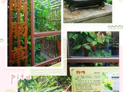 -广州神农草堂中医药博物馆