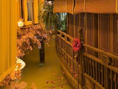 -叶叶菩提(太原别墅店)