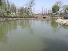 -田园东方蜜桃村的田野营地