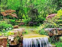 -杭州半山国家森林公园