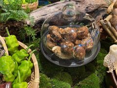 松露-荣轩(新荣记环球金融中心店)