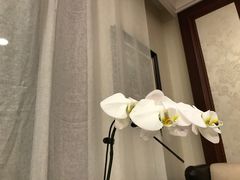 -南山鲜虾面·活鲜小馆·海味大连菜(南山总店)