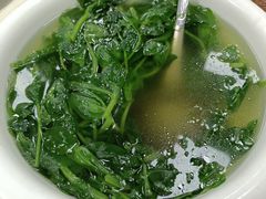 -东吴霸王兔(松青路店)