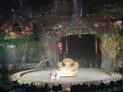 -广州长隆国际大马戏