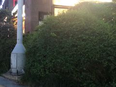 -每味每客·重庆麻辣烫(拓展大厦店)