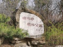 -白水寺森林公园